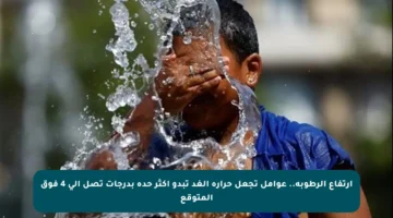 ارتفاع الرطوبة.. عوامل تجعل حرارة الغد تبدو أكثر حدة بدرجات تصل إلى 4 فوق المتوقع